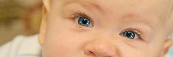 Babies 3